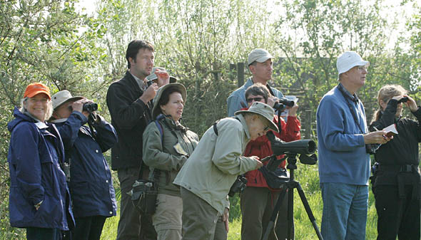 Roland van der Vliet (3e links) met de Audubon Society uit Amerika in Nederland ( © Mark Hamilton )