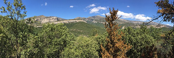 img_1621_sierra_de_guara_sipan_huesca
