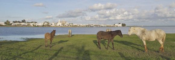El_Rocio_Doñana
