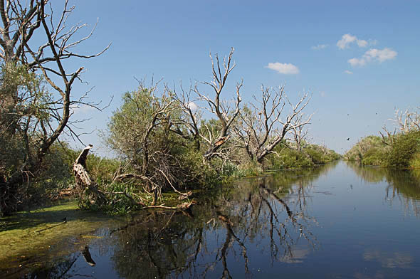 Donaudelta