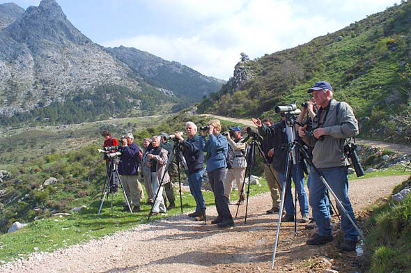 Grazalema