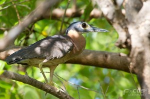 IMG_0016B