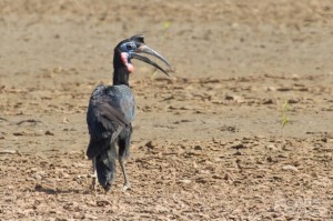 IMG_2813B