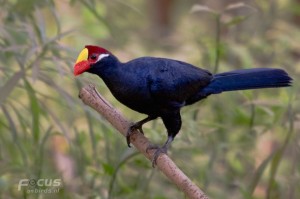 IMG_8496B